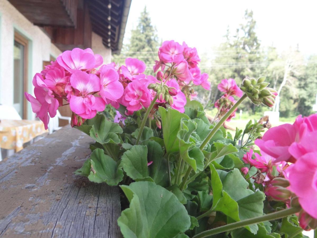 מלון Immenstadt im Allgäu Beim Haxenwirt חדר תמונה